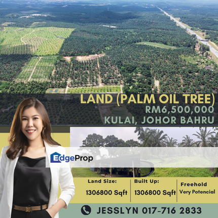 Kulai, Potential Land (Palm Oil Tree) For Sale, Johor, Kulai