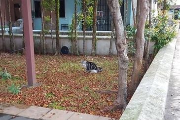 Taman Tampoi Indah II, Villa Ros