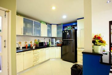 Anggerik Doritis @ Kota Kemuning