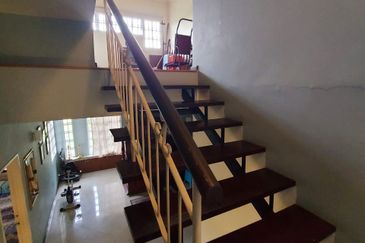 Anggerik Doritis @ Kota Kemuning