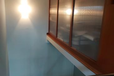 Anggerik Doritis @ Kota Kemuning