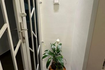 Amber Residence @ twentyfive.7