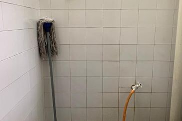 Sri Meranti, Bandar Sri Damansara