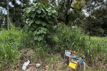 Jalan Setul Broga Hill Mantin Land For Sale 