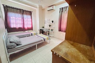 Evergreen Park Scot Pine