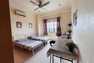 Evergreen Park Scot Pine