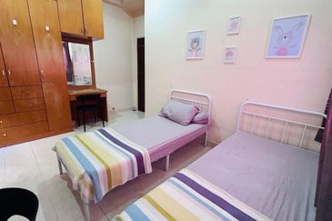 Evergreen Park Scot Pine