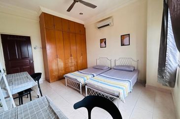 Evergreen Park Scot Pine