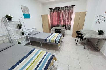 Evergreen Park Scot Pine