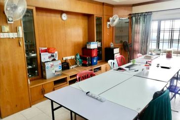 Evergreen Park Scot Pine