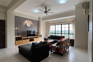 Evergreen Park Scot Pine