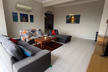 Evergreen Park Scot Pine