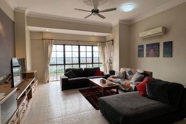 Evergreen Park Scot Pine