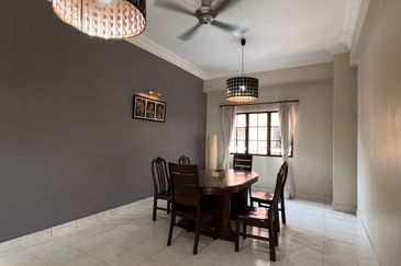 Evergreen Park Scot Pine