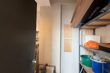 Evergreen Park Scot Pine