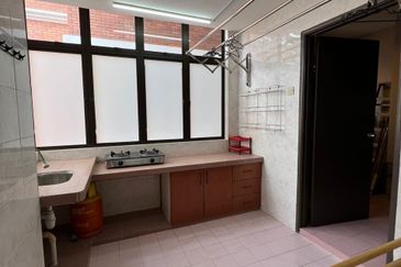 Evergreen Park Scot Pine