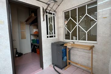 Evergreen Park Scot Pine