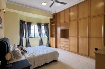 Evergreen Park Scot Pine