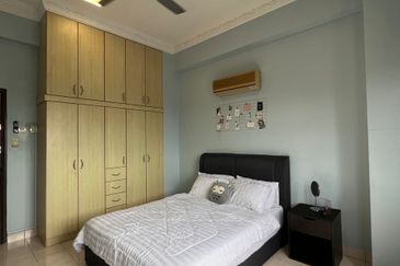 Evergreen Park Scot Pine