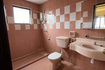 Evergreen Park Scot Pine