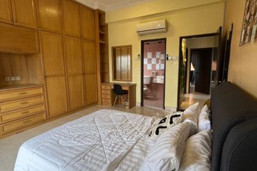 Evergreen Park Scot Pine