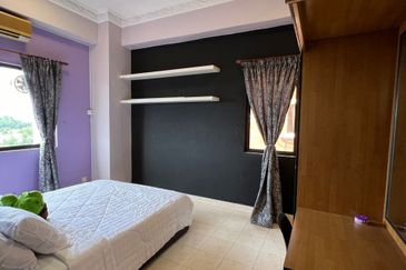 Evergreen Park Scot Pine