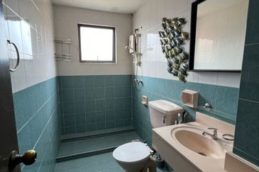 Evergreen Park Scot Pine