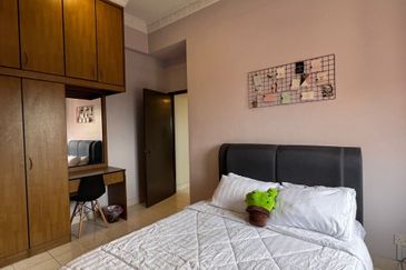 Evergreen Park Scot Pine