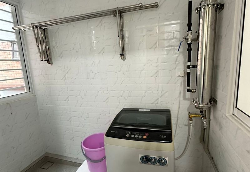 Evergreen Park Acorn and Hazel