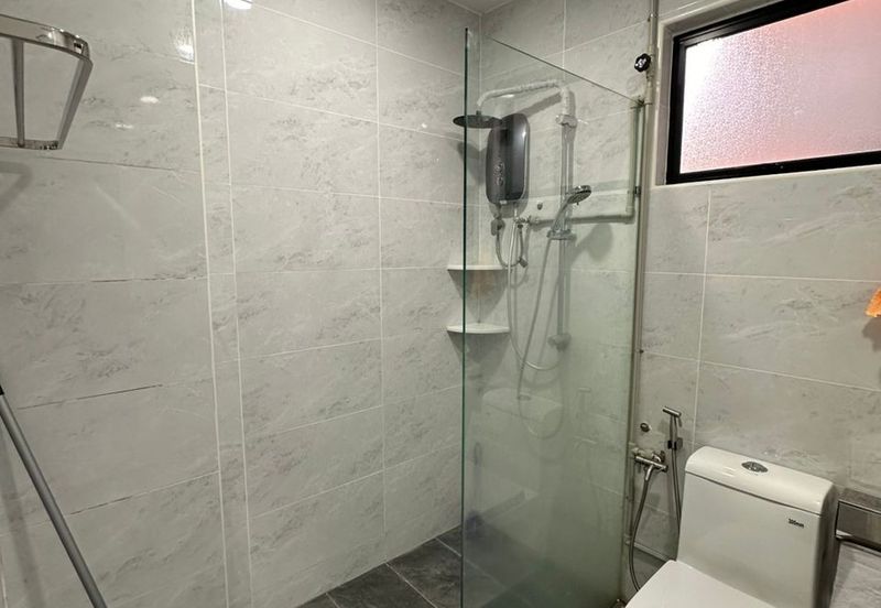 Evergreen Park Acorn and Hazel