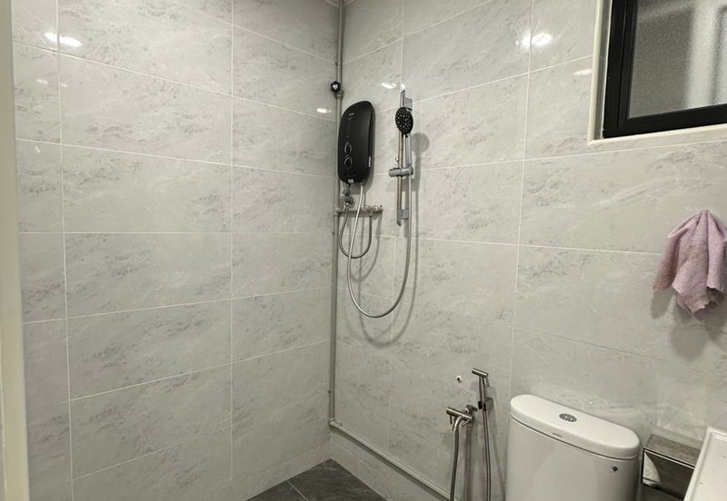 Evergreen Park Acorn and Hazel