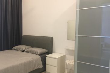 Arnica @ Tropicana Gardens