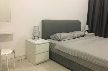 Arnica @ Tropicana Gardens