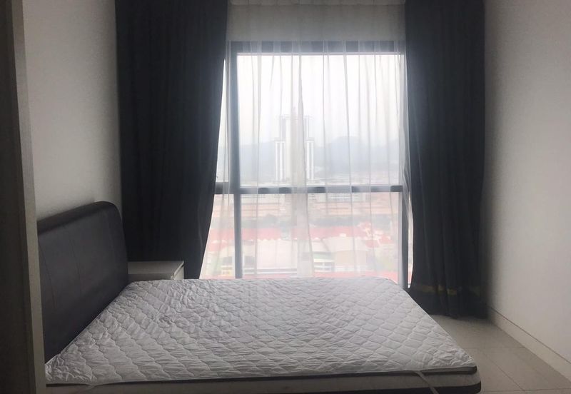 Arnica @ Tropicana Gardens