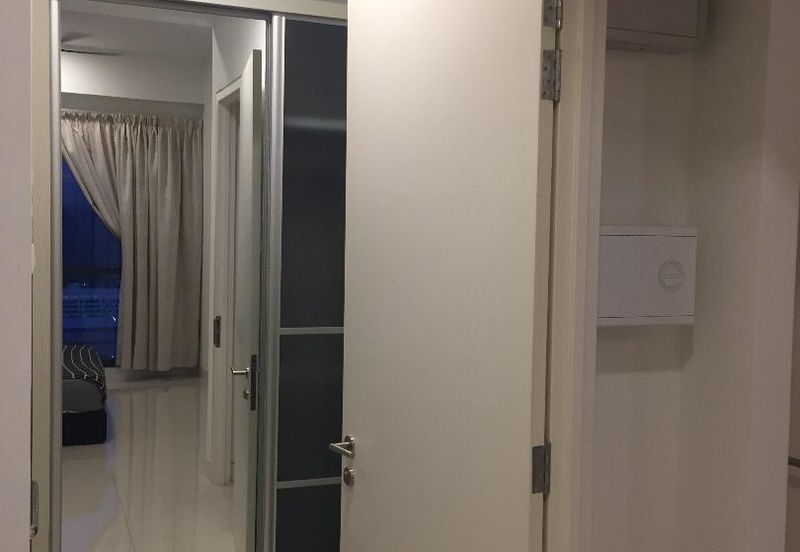 Arnica @ Tropicana Gardens