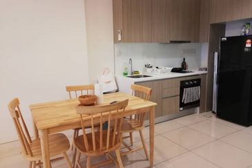 Cyperus @ Tropicana Gardens