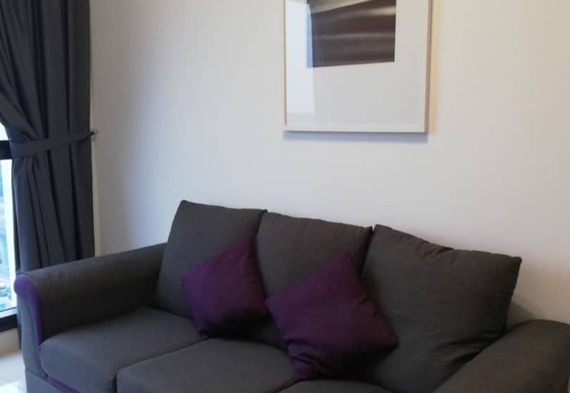 Cyperus @ Tropicana Gardens