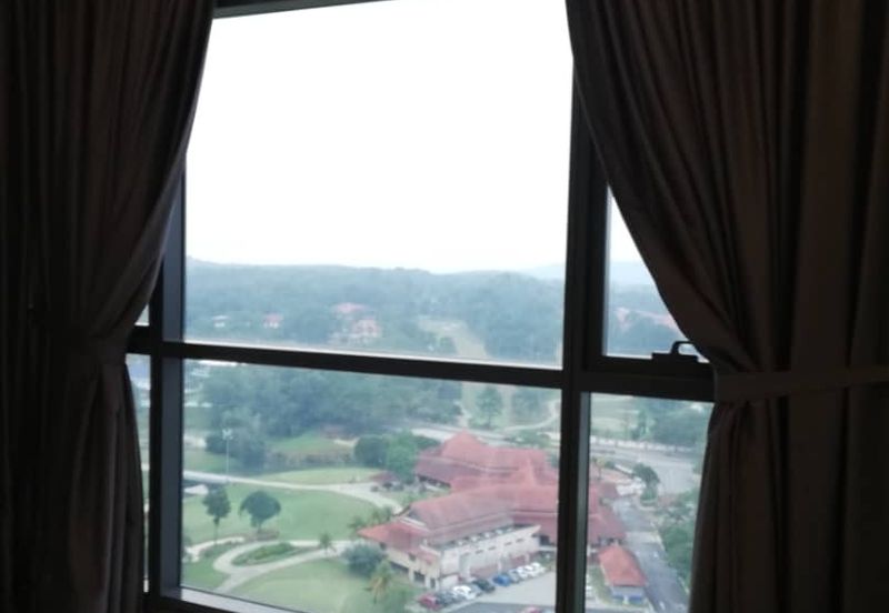 Cyperus @ Tropicana Gardens