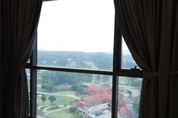 Cyperus @ Tropicana Gardens