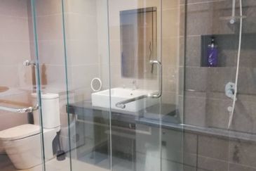 Cyperus @ Tropicana Gardens