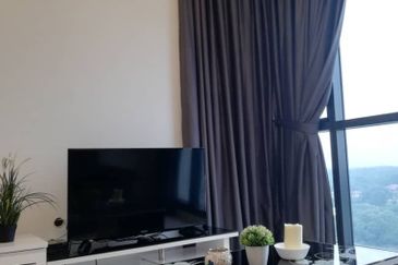 Cyperus @ Tropicana Gardens