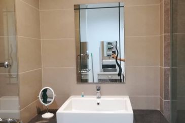 Cyperus @ Tropicana Gardens