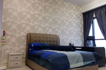 Cyperus @ Tropicana Gardens