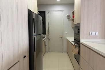 Cyperus @ Tropicana Gardens