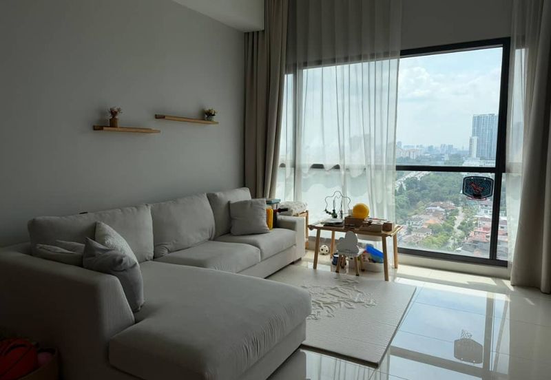 Cyperus @ Tropicana Gardens