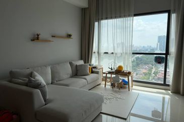 Cyperus @ Tropicana Gardens