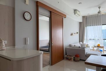 Cyperus @ Tropicana Gardens