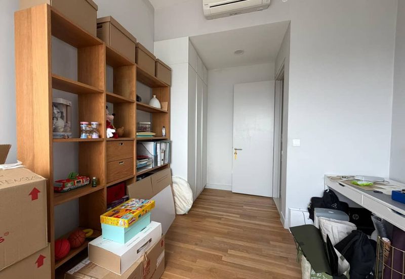 Cyperus @ Tropicana Gardens