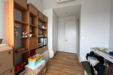 Cyperus @ Tropicana Gardens