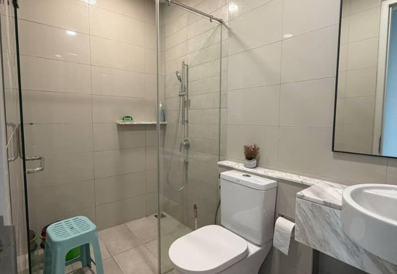 Cyperus @ Tropicana Gardens